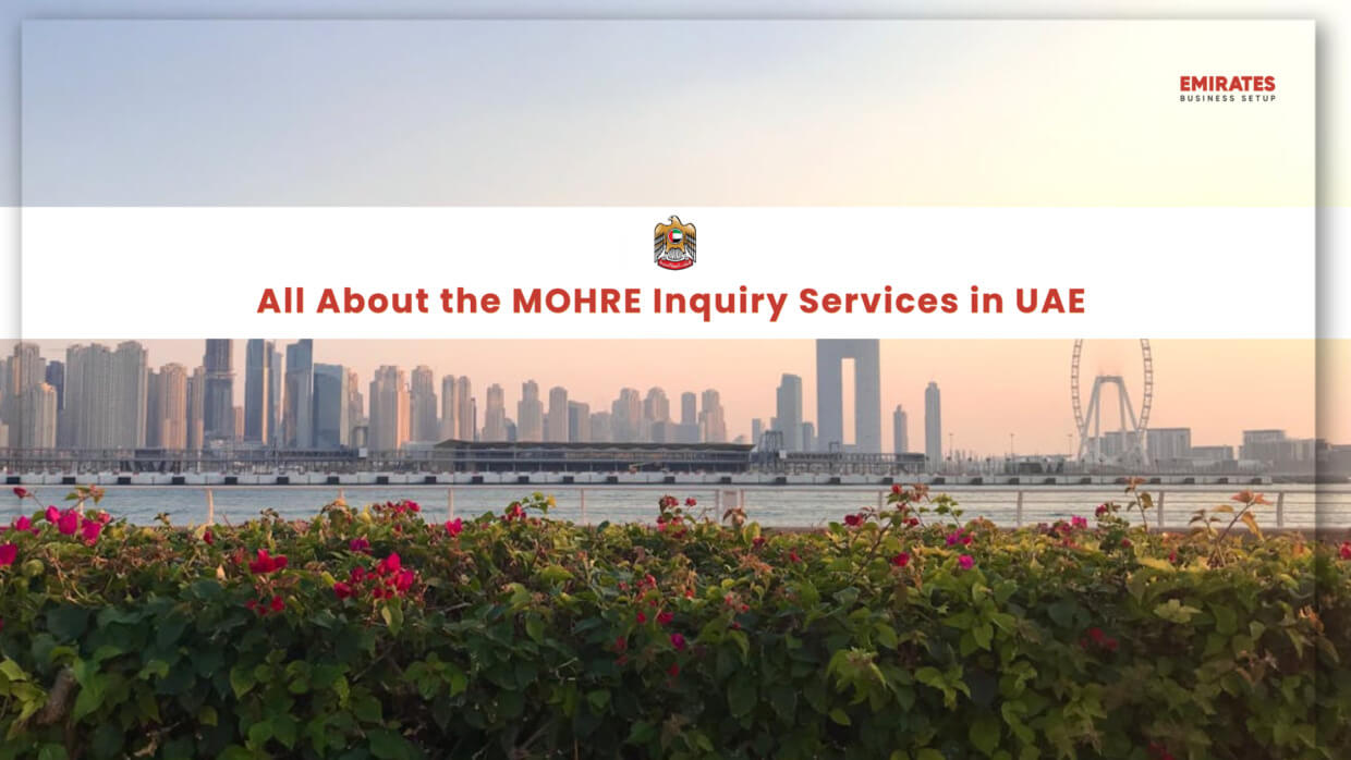 MOHRE Inquiry services in UAE